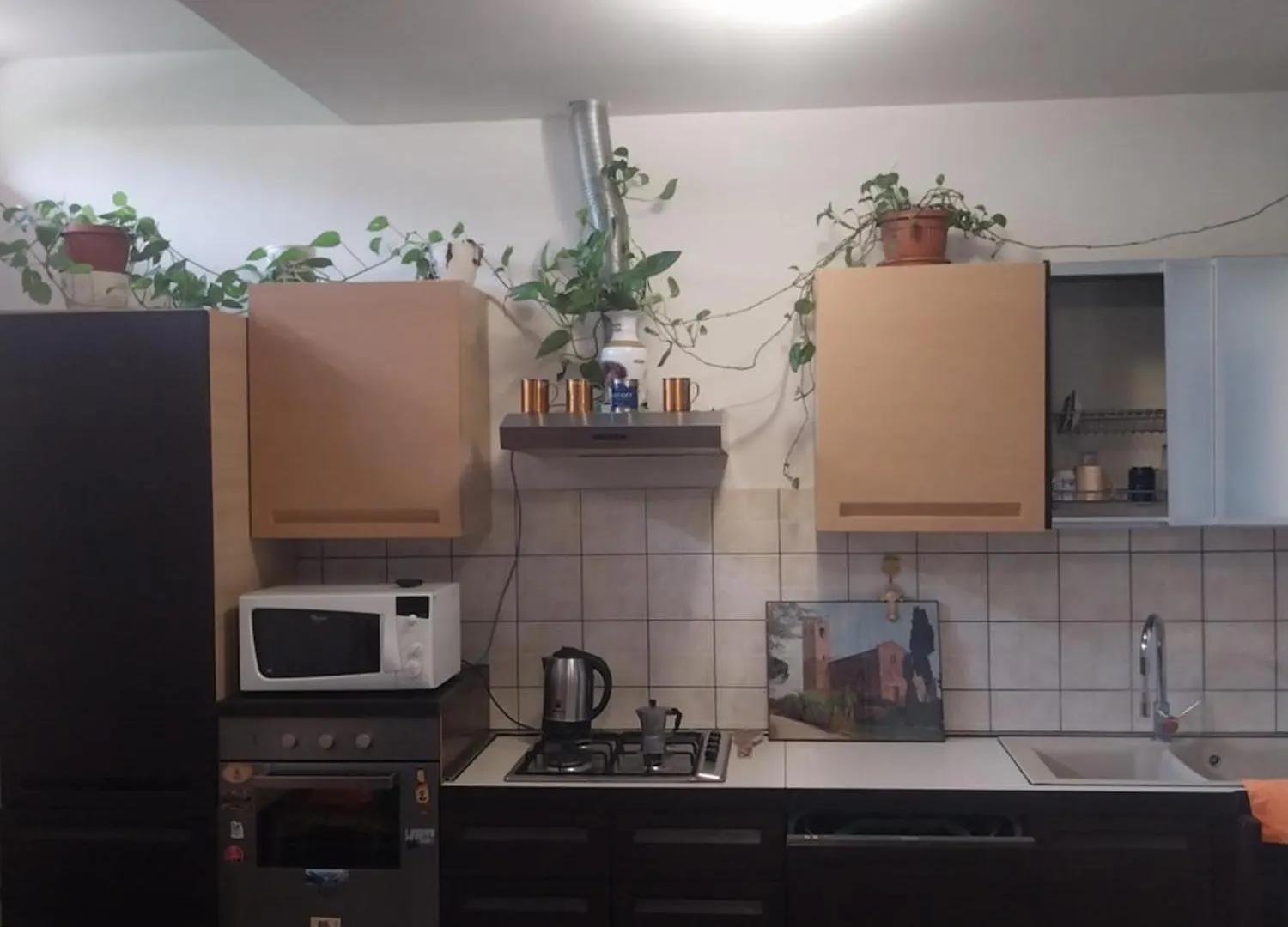 Bilocale Firenze Intero Alloggio Apartment Italy